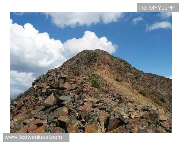 吴伟独家分享攀岩技巧与心得体会助你征服高峰